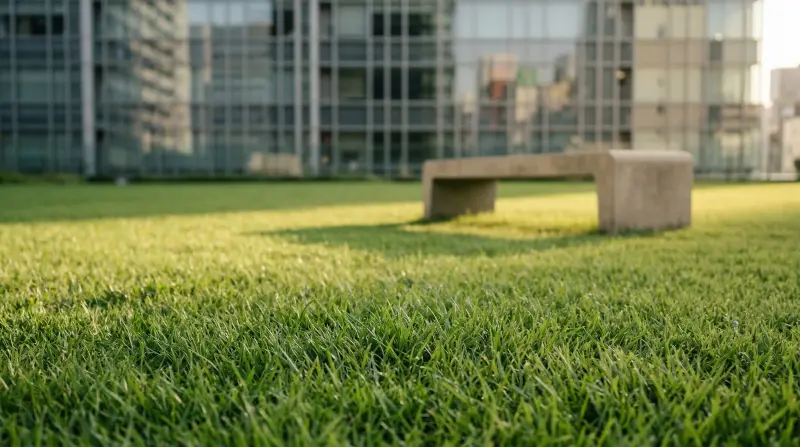 Osaka's Concrete Problem