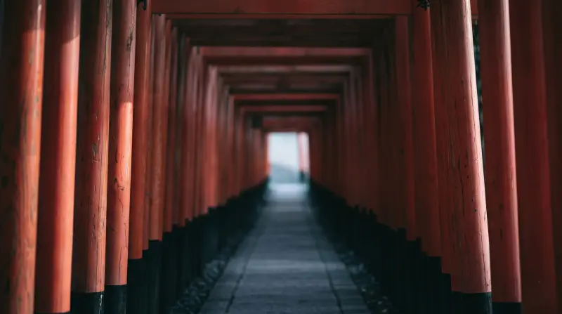 The Side Gate