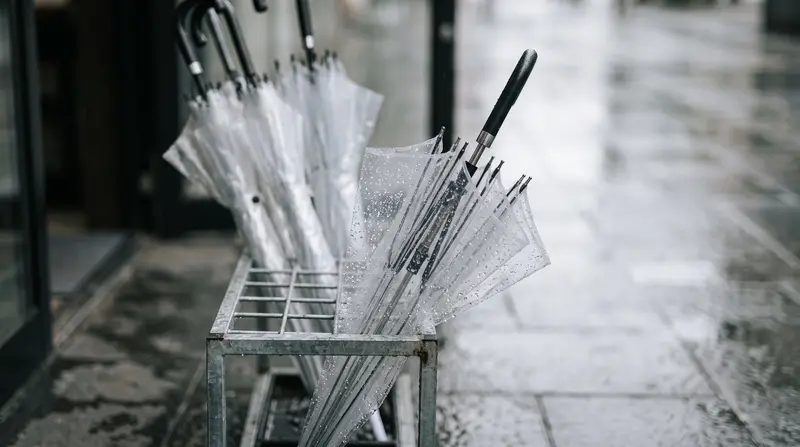 Several identical clear vinyl umbrellas, wet with raindrops, leaning together in a metal umbrella stand on a rainy grey street.
